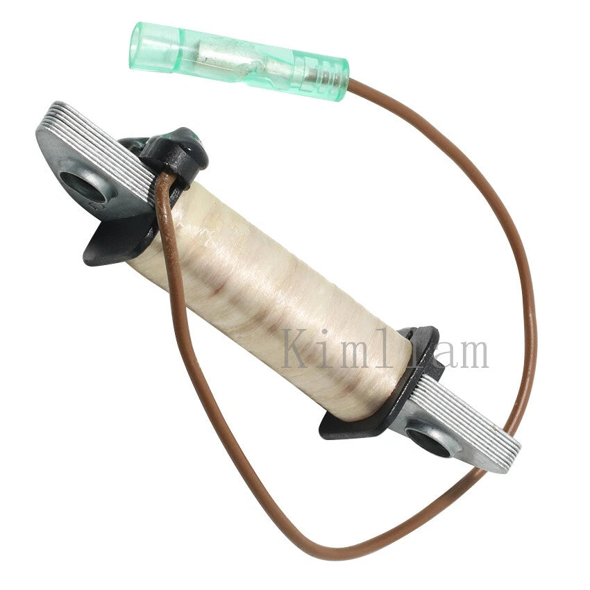 Charge Coil for Yamaha Outboard 3HP 4HP 5HP 6E0-85520-70 (2000-2015)