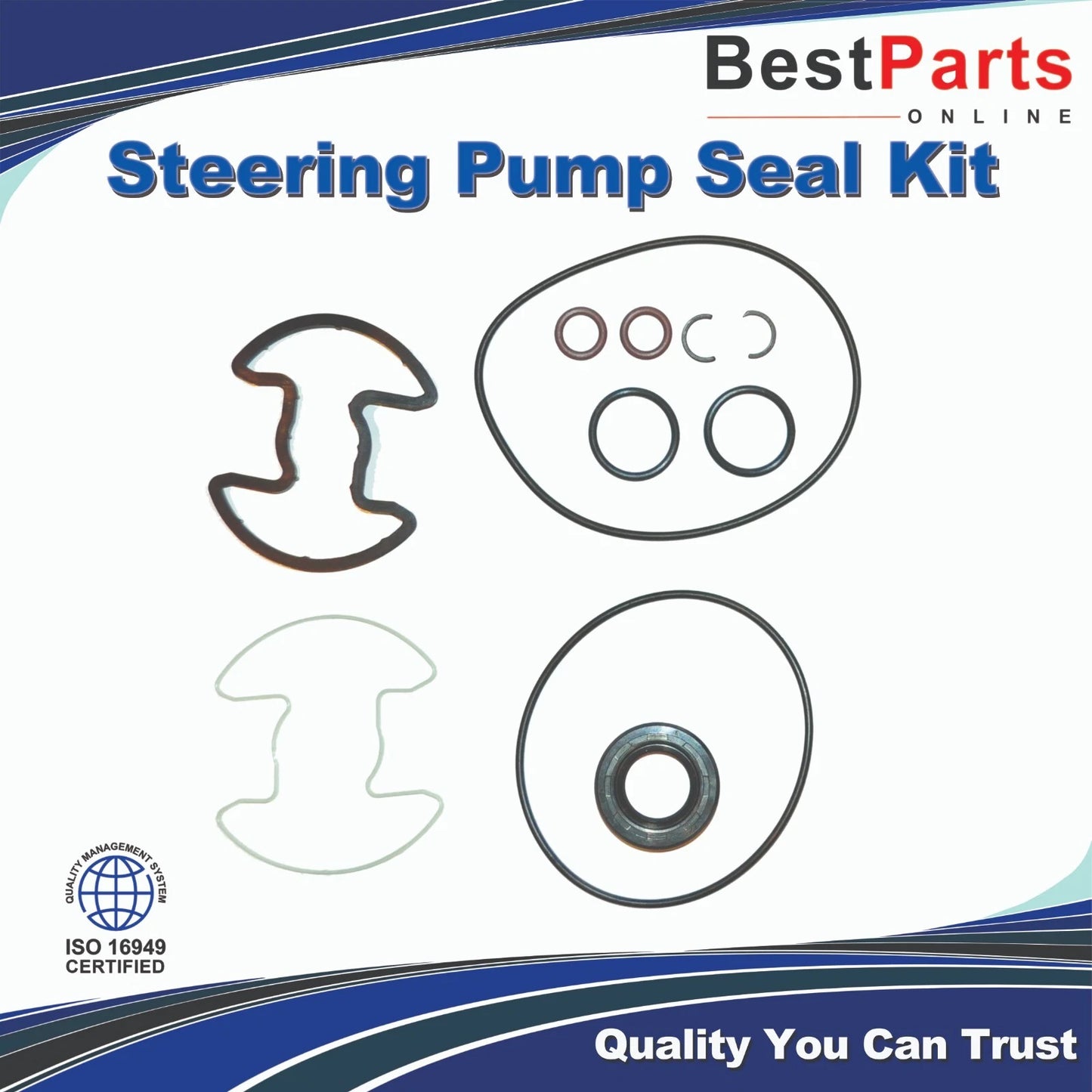 Steering Pump Seal Kit for BMW 6 Series (1981–1984)