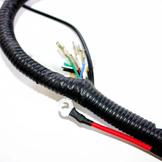 125cc PIT Trail Dirt Bike Wiring Harness Loom & Light Wires