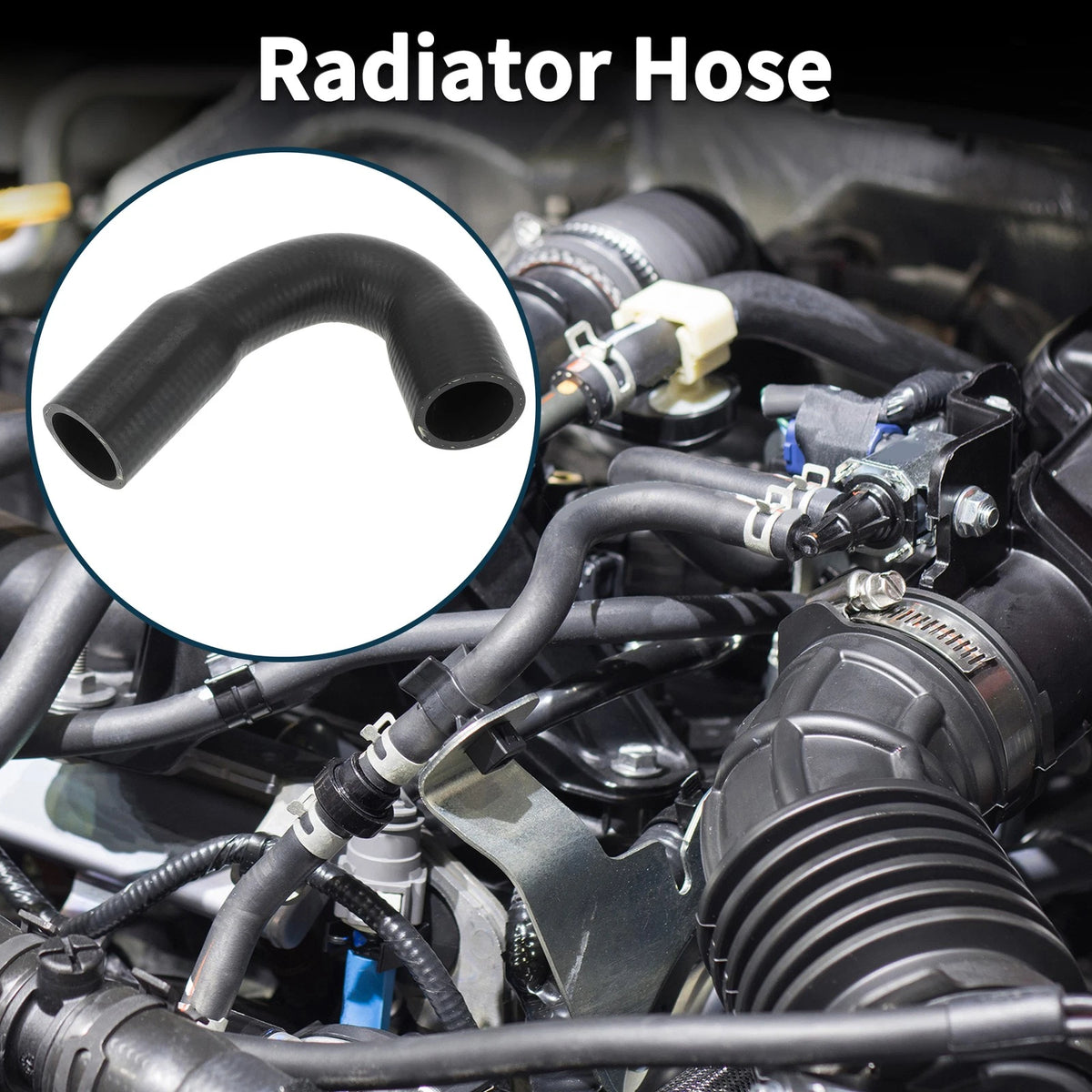 Radiator Hose 3.0L Coolant Pipe for BMW 740i (2016 - 2019)