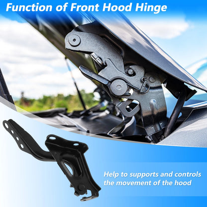 Hood Hinge for Toyota RAV4 2019-2023 ( No.5341042140, 5342042140)