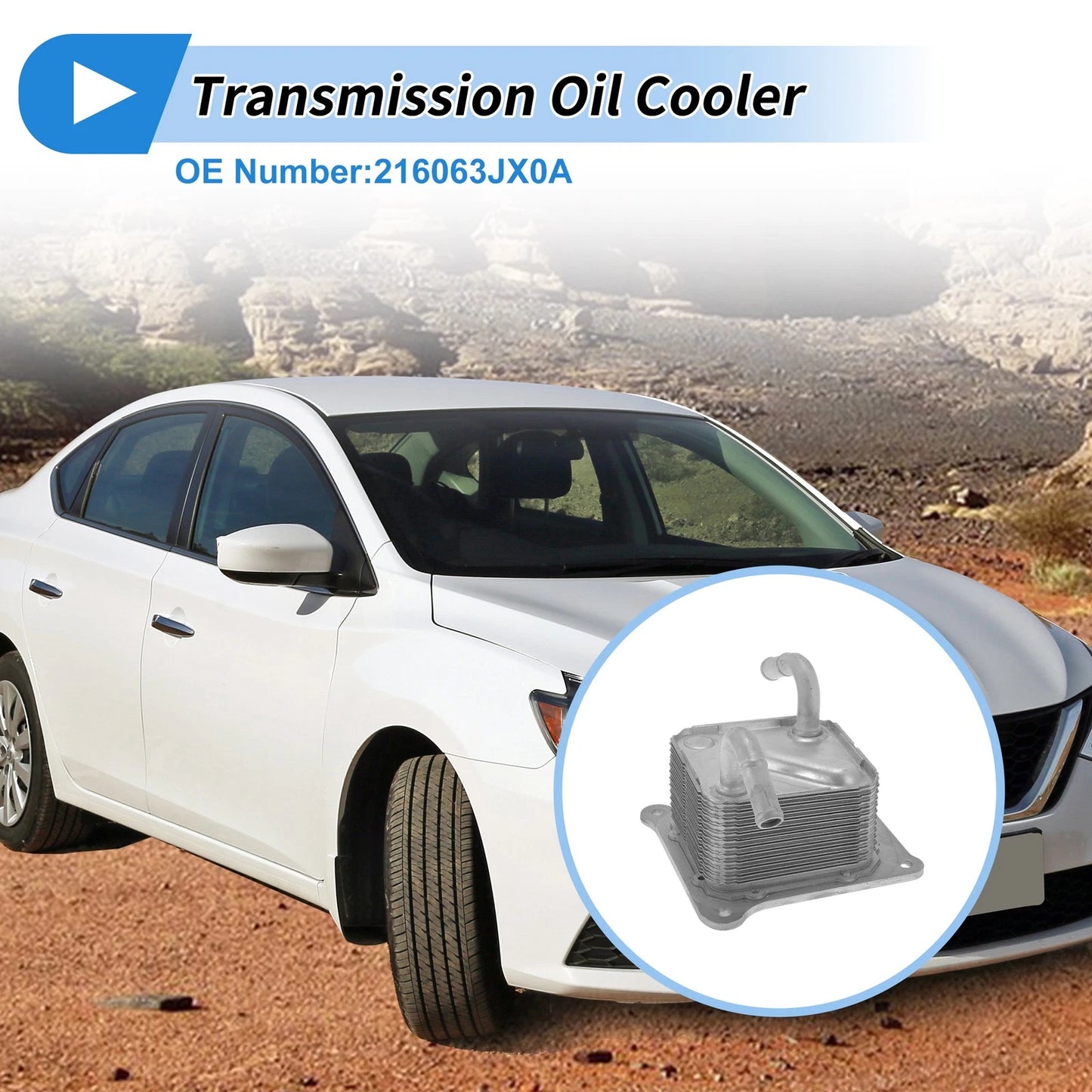 Engine Oil Cooler & Rubber Ring for Nissan Sentra (2013-2018)
