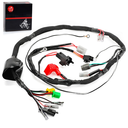 2x Wiring Harness 2x4 for Suzuki QuadSport LT80 (1989–1998)