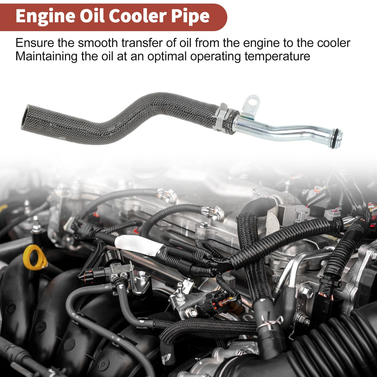 Outlet Engine Oil Cooler Tube for Buick Encore (2014–2021)