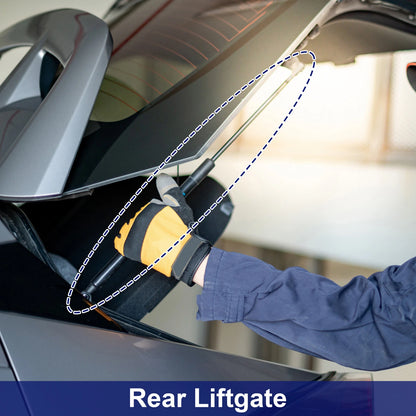 Tailgate Lift Support Struts Gas Spring for Acura Integra
