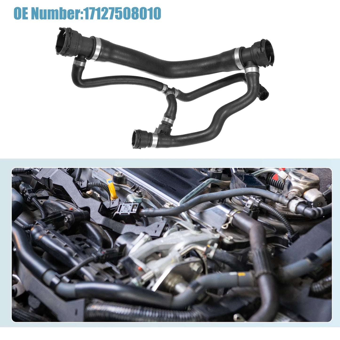 Coolant Heater Hose for BMW 745i (2002-2005)