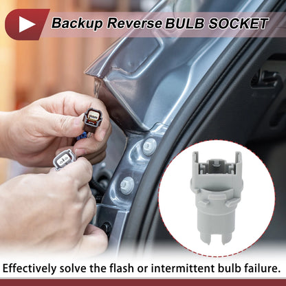 Reverse Light Socket for Honda Accord/Odyssey/Civic (1998-2019)