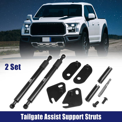 Rear Tailgate Lift Support Struts for Ford F150 (2015-2020)