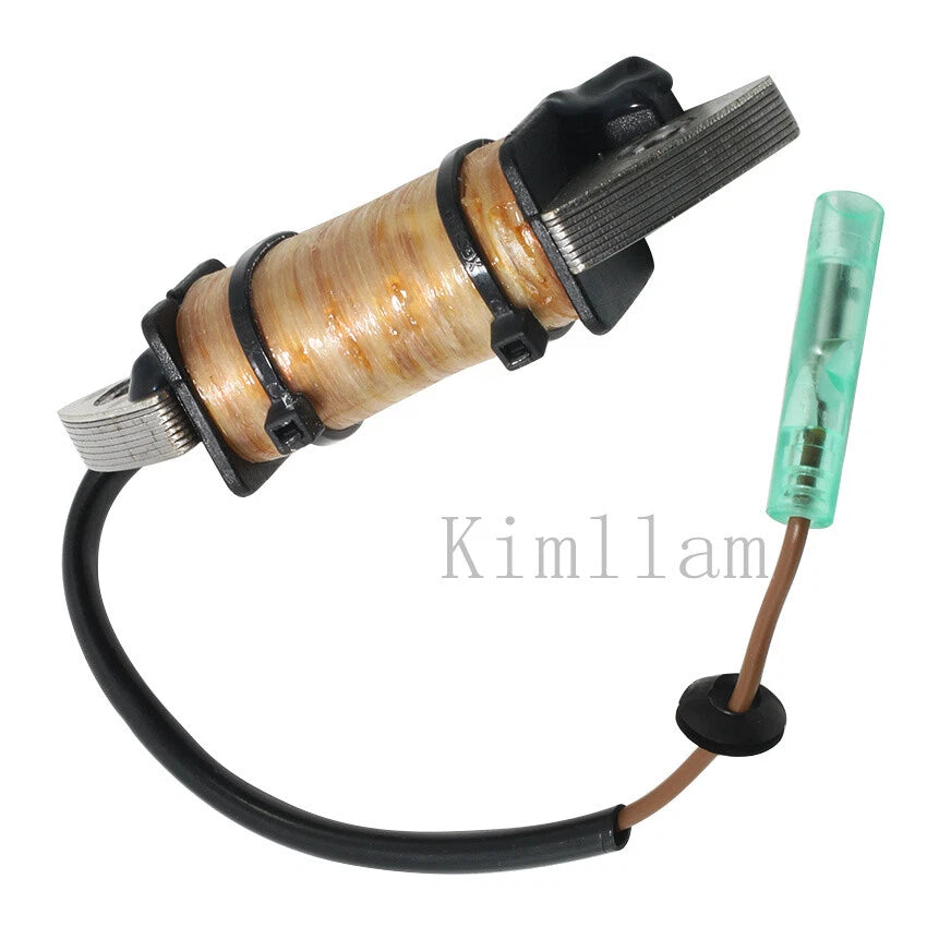 Charge Coil for Yamaha Outboard 2HP 1995-2006, 2010
