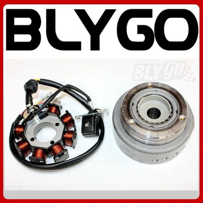 8 Poles Magneto Stator for 200cc 250cc PIT Quad Dirt Bike ATV