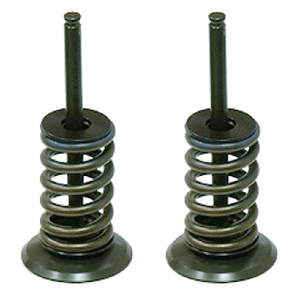 Intake Valve for Honda TRX450R/TRX450ER (2006–2014)
