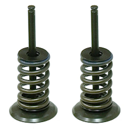 Intake Valve for Honda TRX450R/TRX450ER (2006–2014)