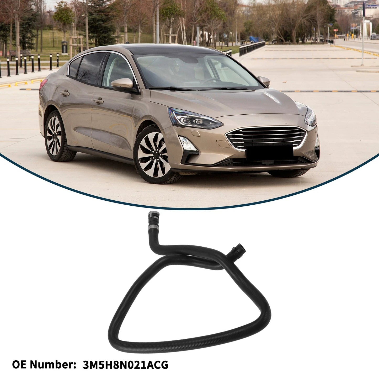 Radiator Hose for Ford Focus (2012)