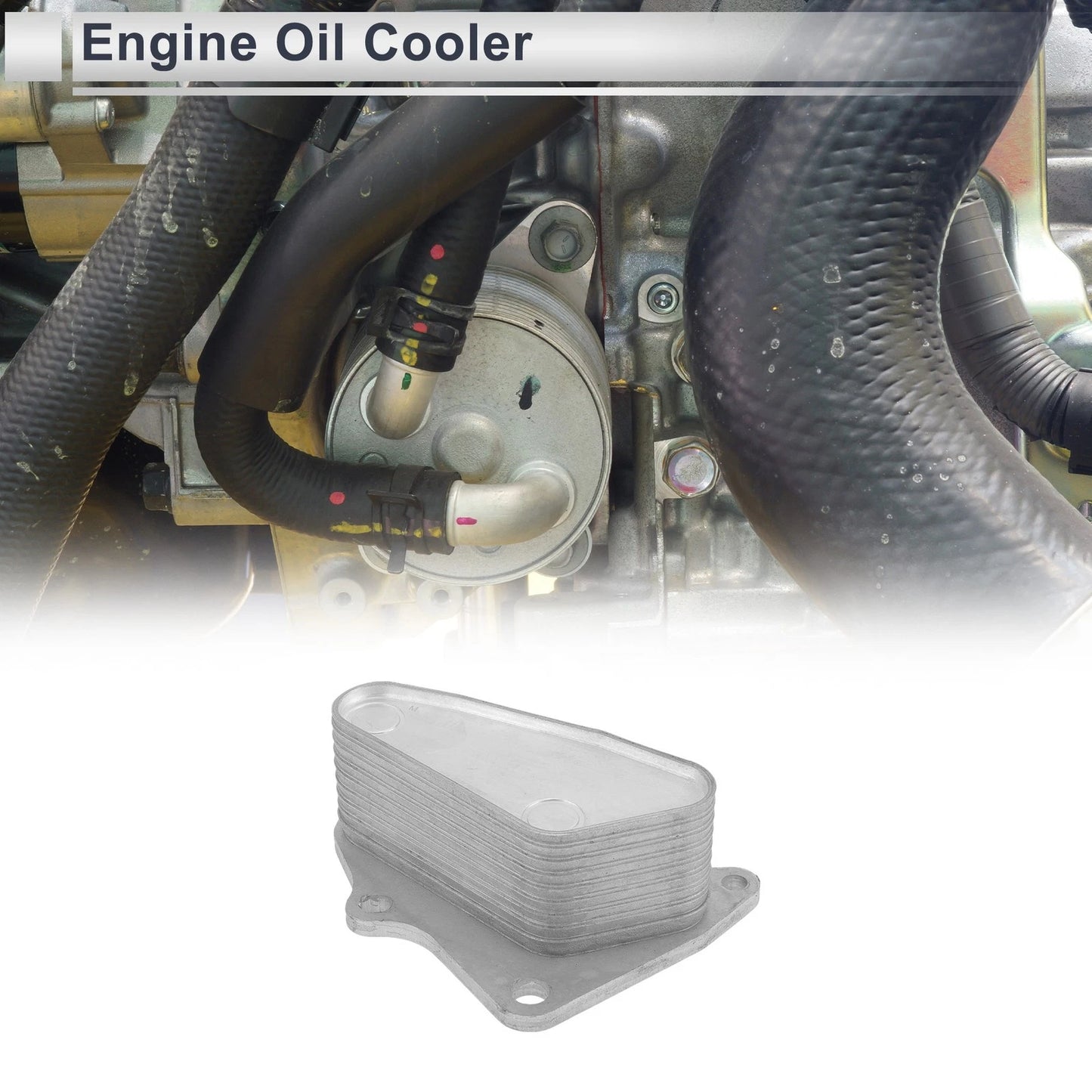Engine Oil Cooler 1 Pc for Chevrolet Malibu (2016–2022)