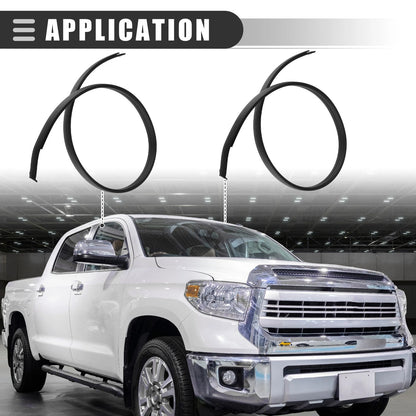 Roof Drip Weatherstrips for Toyota Tundra Double Cab (2007-2021)