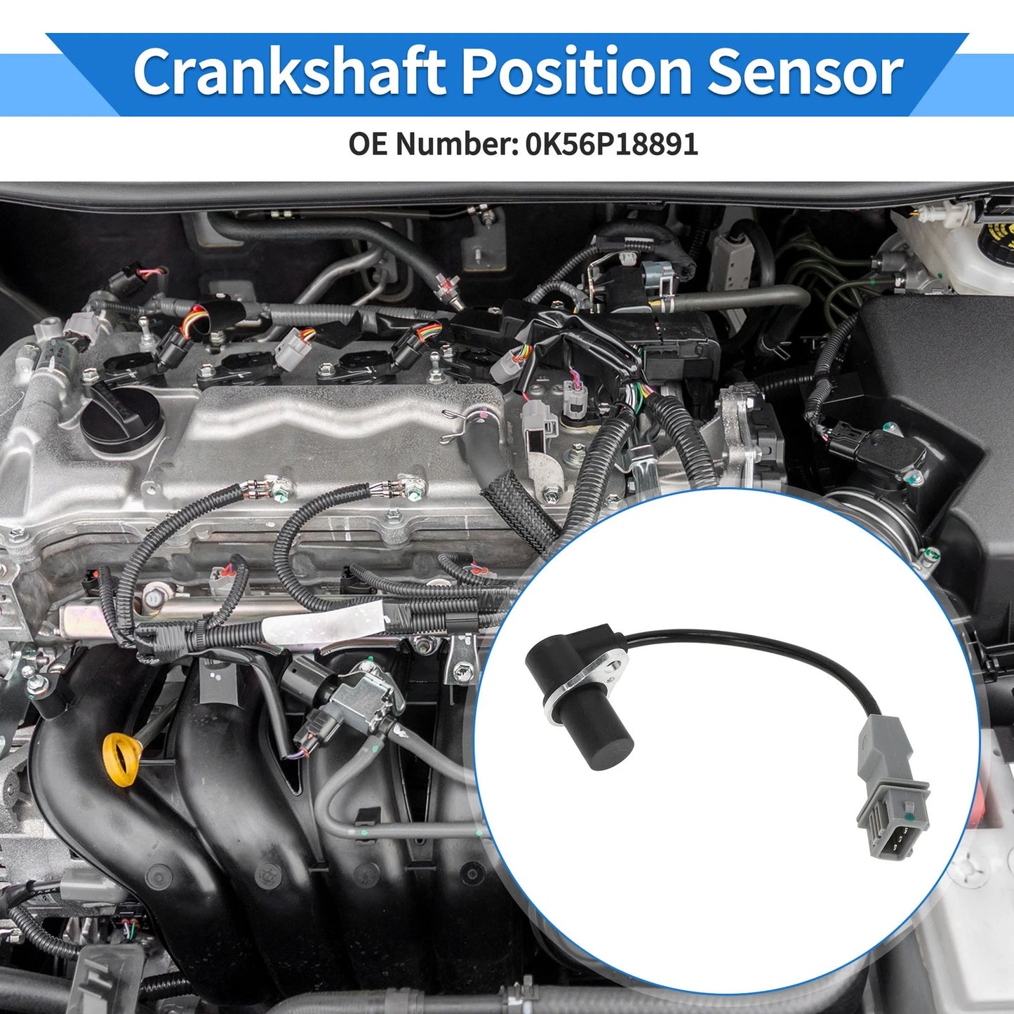 Crankshaft Position Sensor for KIA Sedona 2001-2006 (1 Pc)