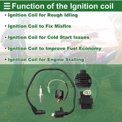 Ignition Coil for Honda TRX250X 2013-2019 (2 x Coils)
