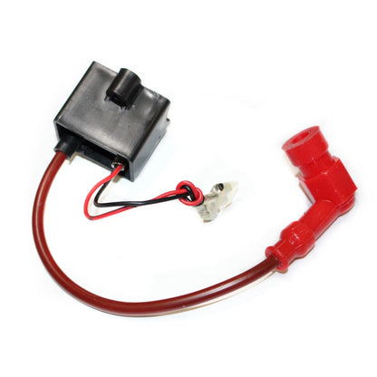 80cc Racing Magneto Coil CDI for Motorized Bicycle Engine