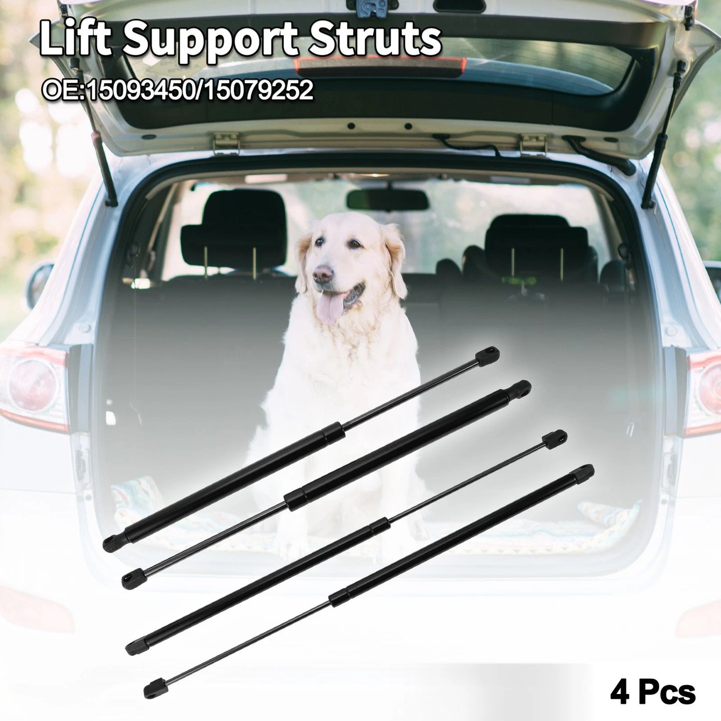 2 x Rear Window Glass&Hatch Lift Supports for Buick Rainier (2005–2007)