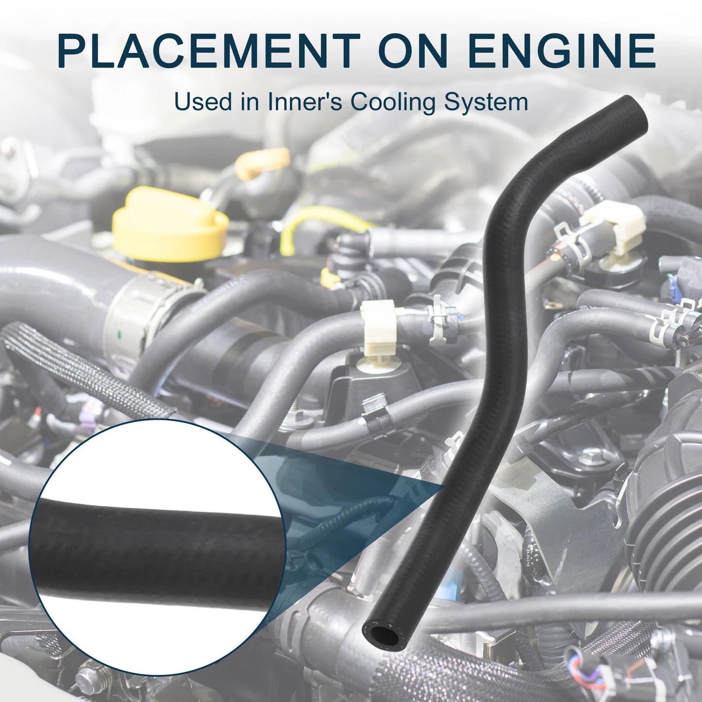 Radiator Hose for Mini Cooper & Clubman (2014-2021)