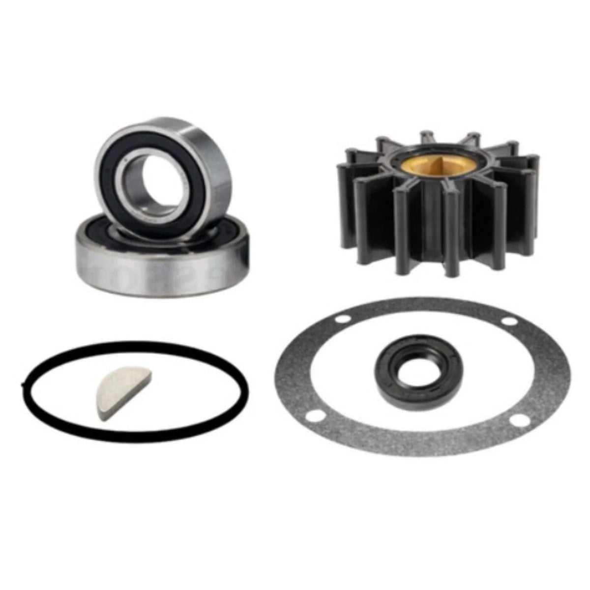 Major Repair Kit for Perkins 4107/4108 with Sherwood G65 Water Pump