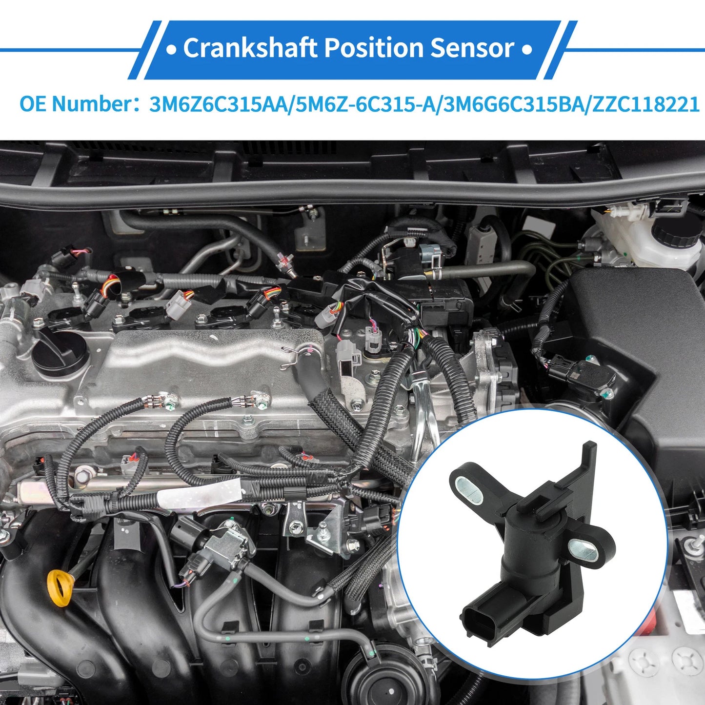 Crankshaft Position Sensor for Ford Escape S 2.5 (2013-2019) 1 Pc