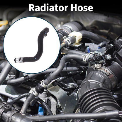 Radiator Hose No.LR015811 for Land Rover Range Rover IV (2013-2021)