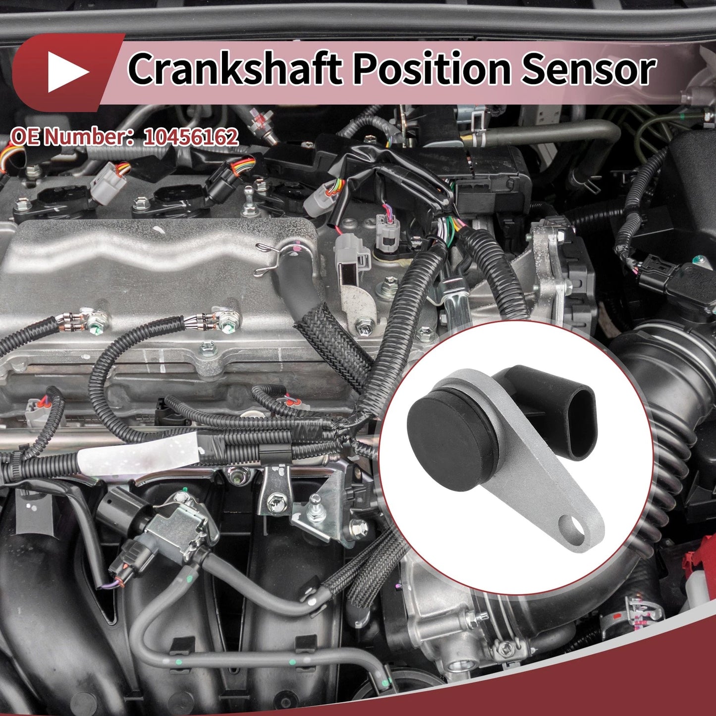 1 Pc Crankshaft Position Sensor for Buick Regal 3.8 (1993–1994)