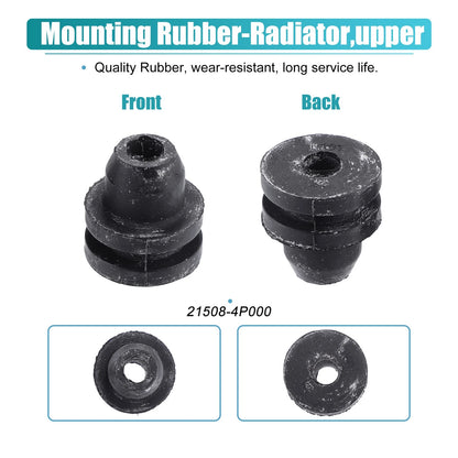 Car Lower Rubber Cushion Bushing for Nissan Frontier (1998-2015)