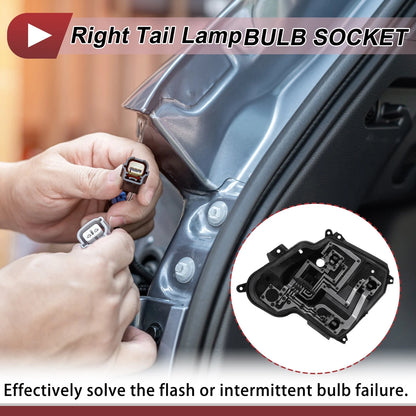 Right Tail Light Socket for Peugeot 301 (2014-2016)