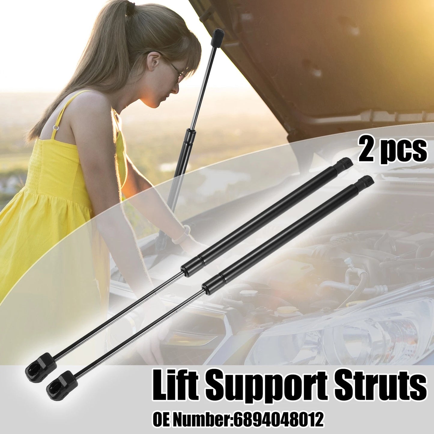 Rear Glass Window Lift Support Struts for Toyota Highlander (2009-2013)