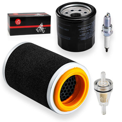 Air Filter & Cap Oil Filter Yamaha Grizzly 350/400/450 Bruin