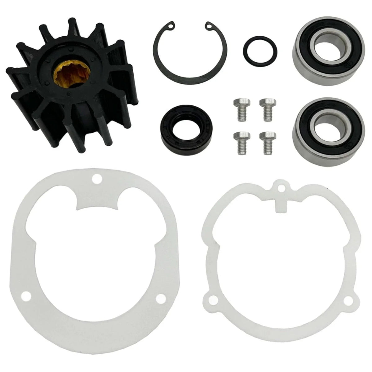Rebuild Service Kit for Volvo Penta/OMC Pumps (3858847, 3857794, 3855778)