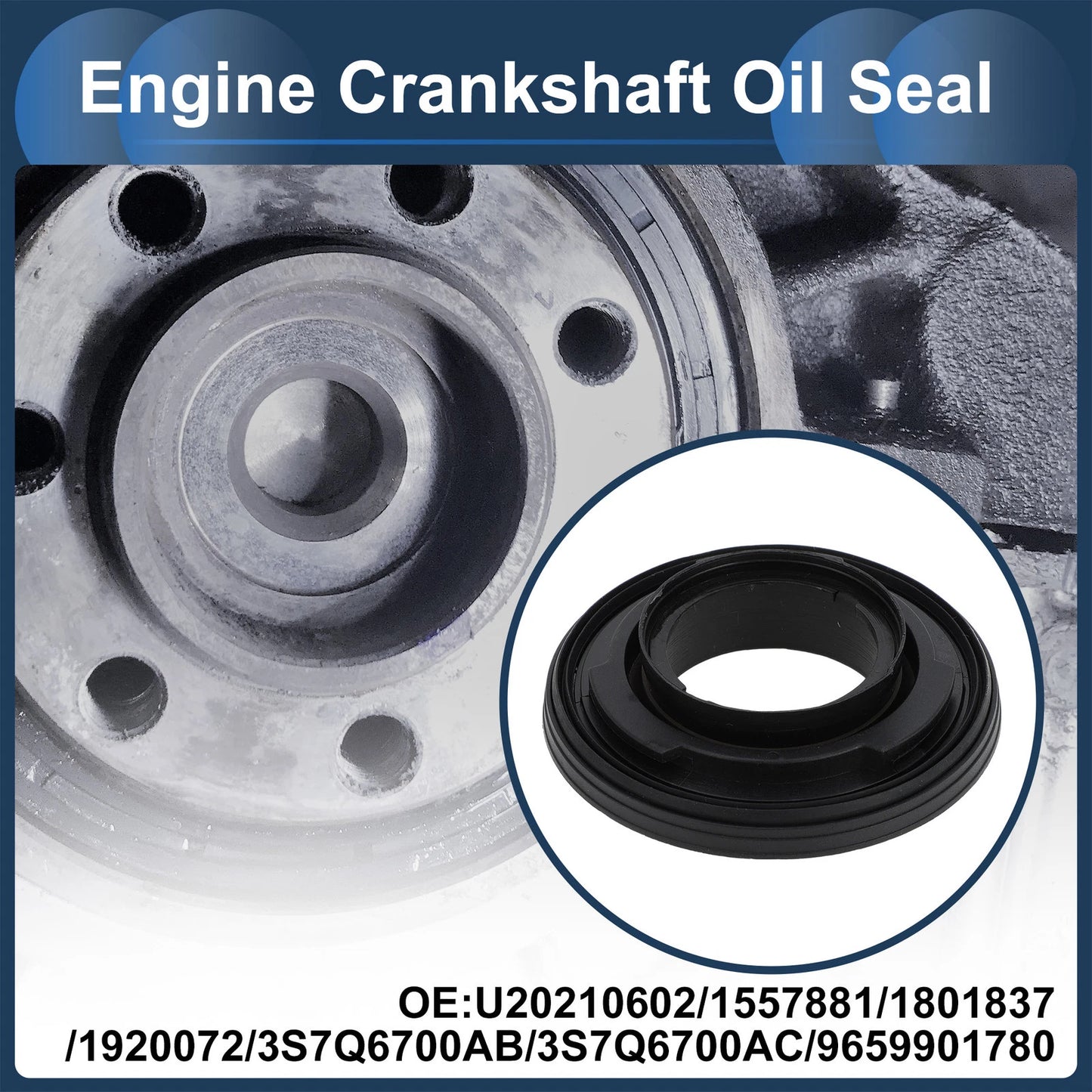 Front Crankshaft Oil Seal for Ford Transit 150 250 350 (2018-2019)