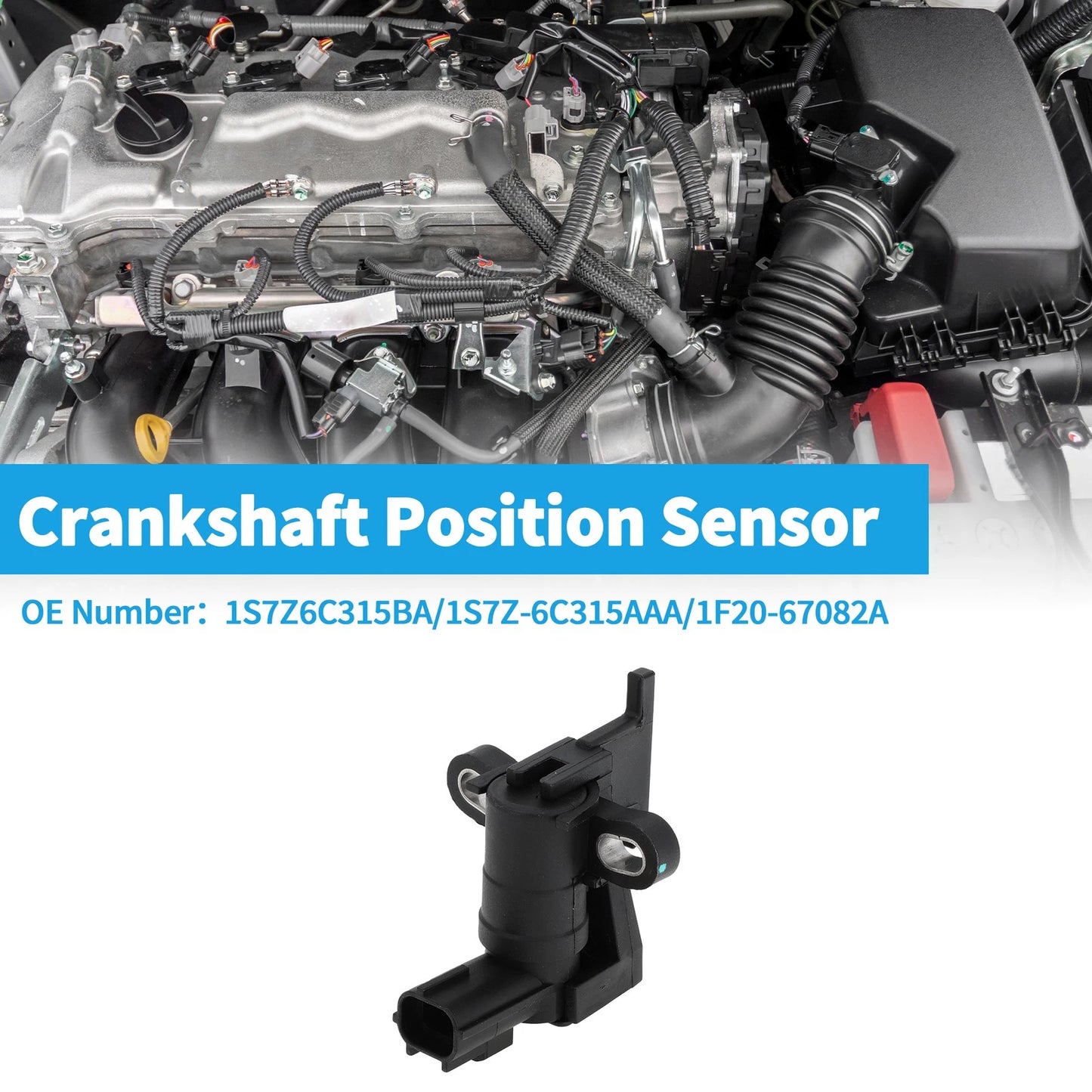 Crankshaft Position Sensor for Ford Escape 2.3 (2005-2008)