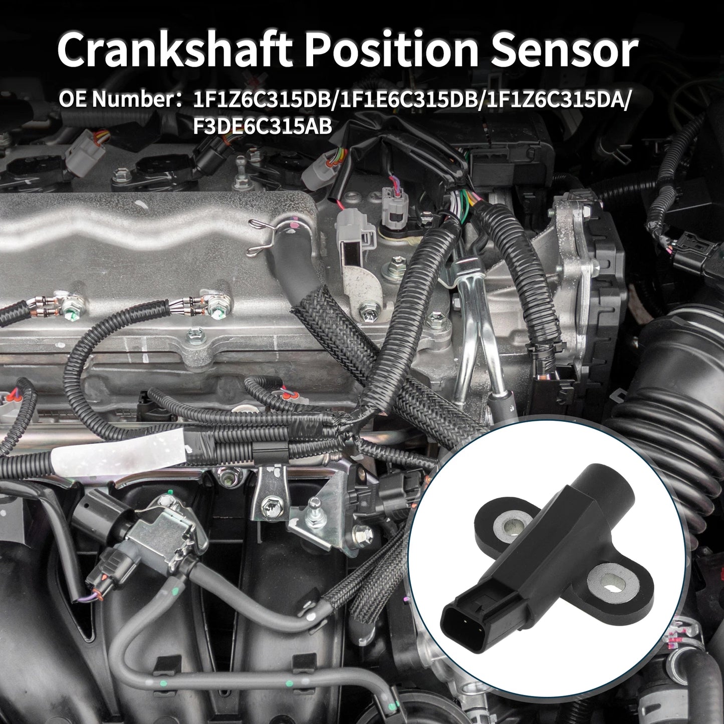 Crankshaft Position Sensor for Ford Ranger 3.0 (1995-2008) - 1 x Sensor