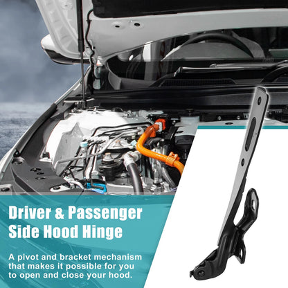 Hood Hinges  for Honda (60170T2FA00ZZ, HO1236150)
