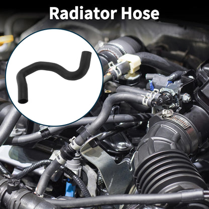 Lower Radiator Hose for Toyota RAV4 (2020-2023)