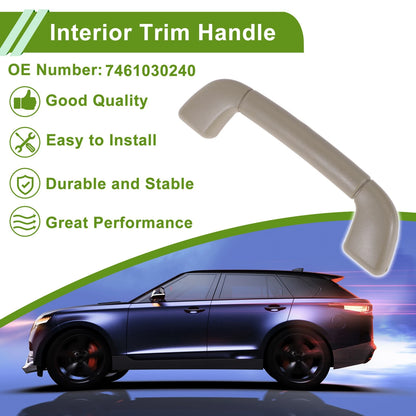 Interior Trim Handle A Pillar Grab Handle for Toyota Camry (2007-2011)