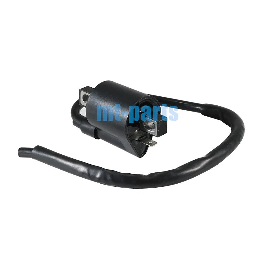 Ignition Coil for Suzuki LTF250 QuadRunner 88-95, 1999-2001, LTF250F 99-01
