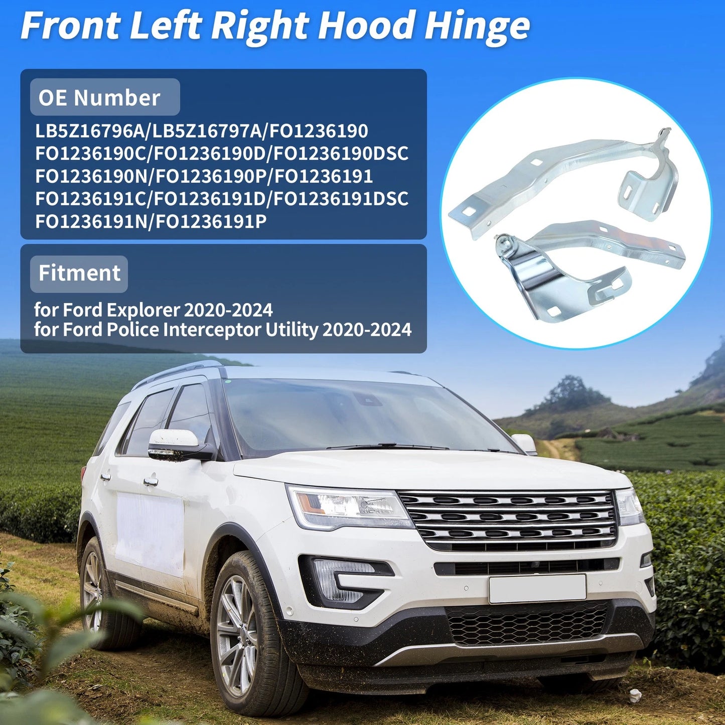 Front Left Right Hood Hinge for Ford Explorer (2020-2024)