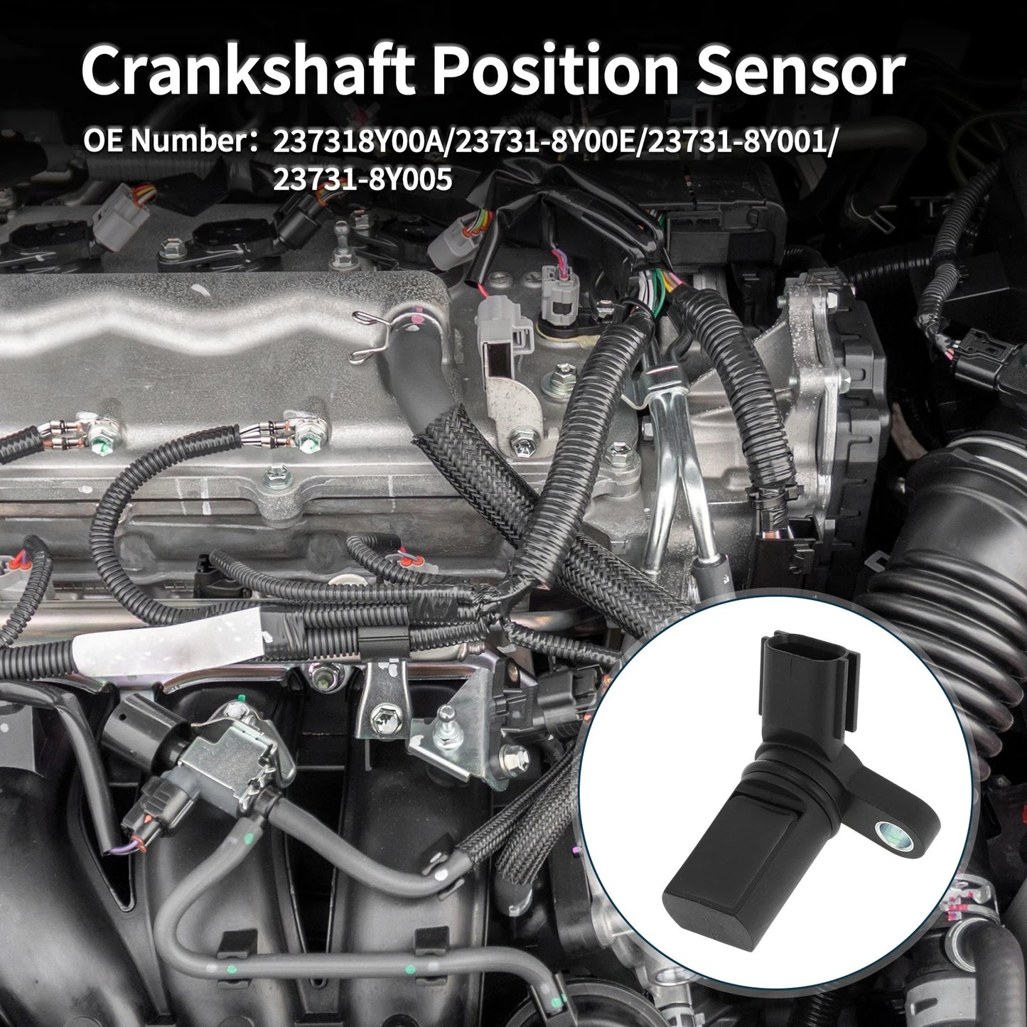 Crankshaft Position Sensor for Nissan Altima 3.5 (2002-2006) 1 Pc