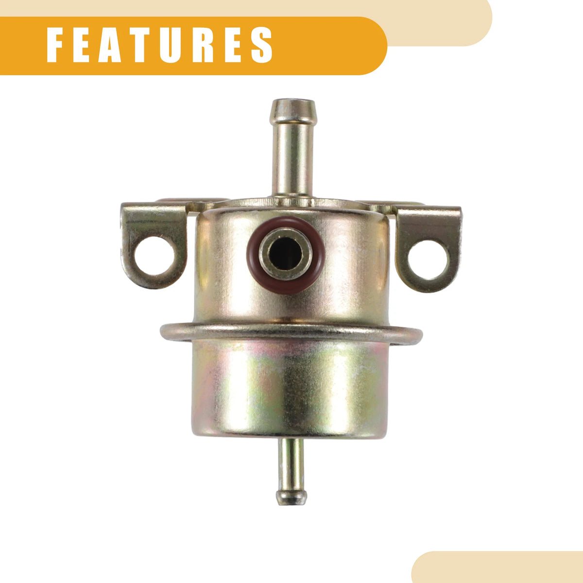 Fuel Injection Pressure Regulator for BMW 325i (1987-1993) Metal