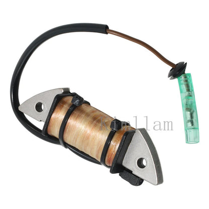 Charge Coil for Yamaha Outboard 2HP 1995-2006, 2010
