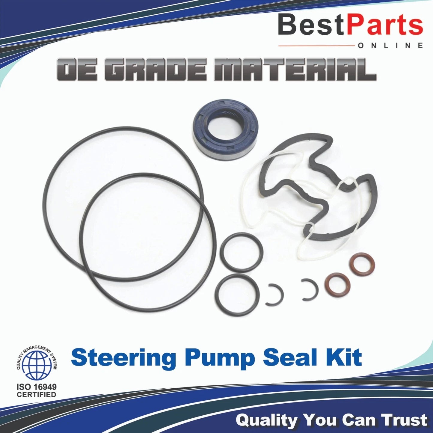 Power Steering Pump Seal for BMW