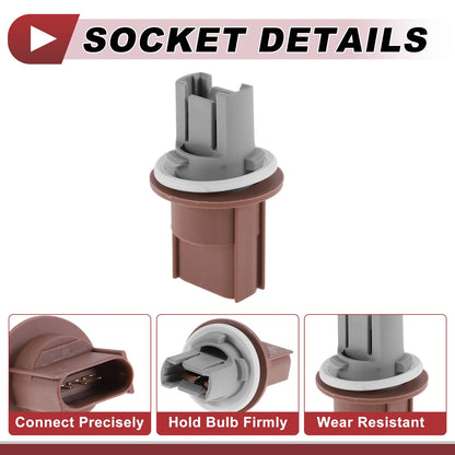Front Turn Signal Light Socket Wiring for Ford