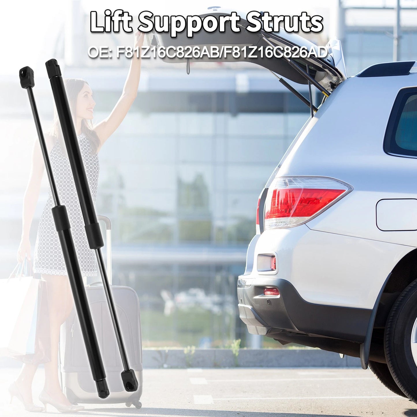 Hood Lift Supports Struts for Ford Excursion (2000-2005)