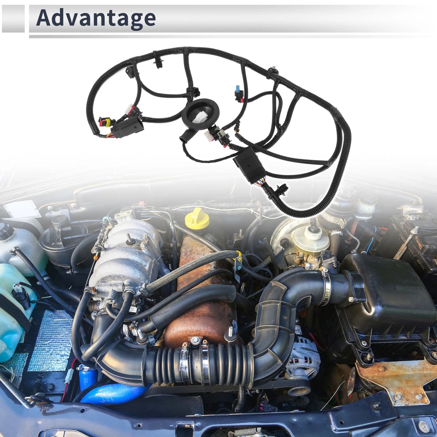 Wiring Harness for Tesla Model 3 (2021-2023)