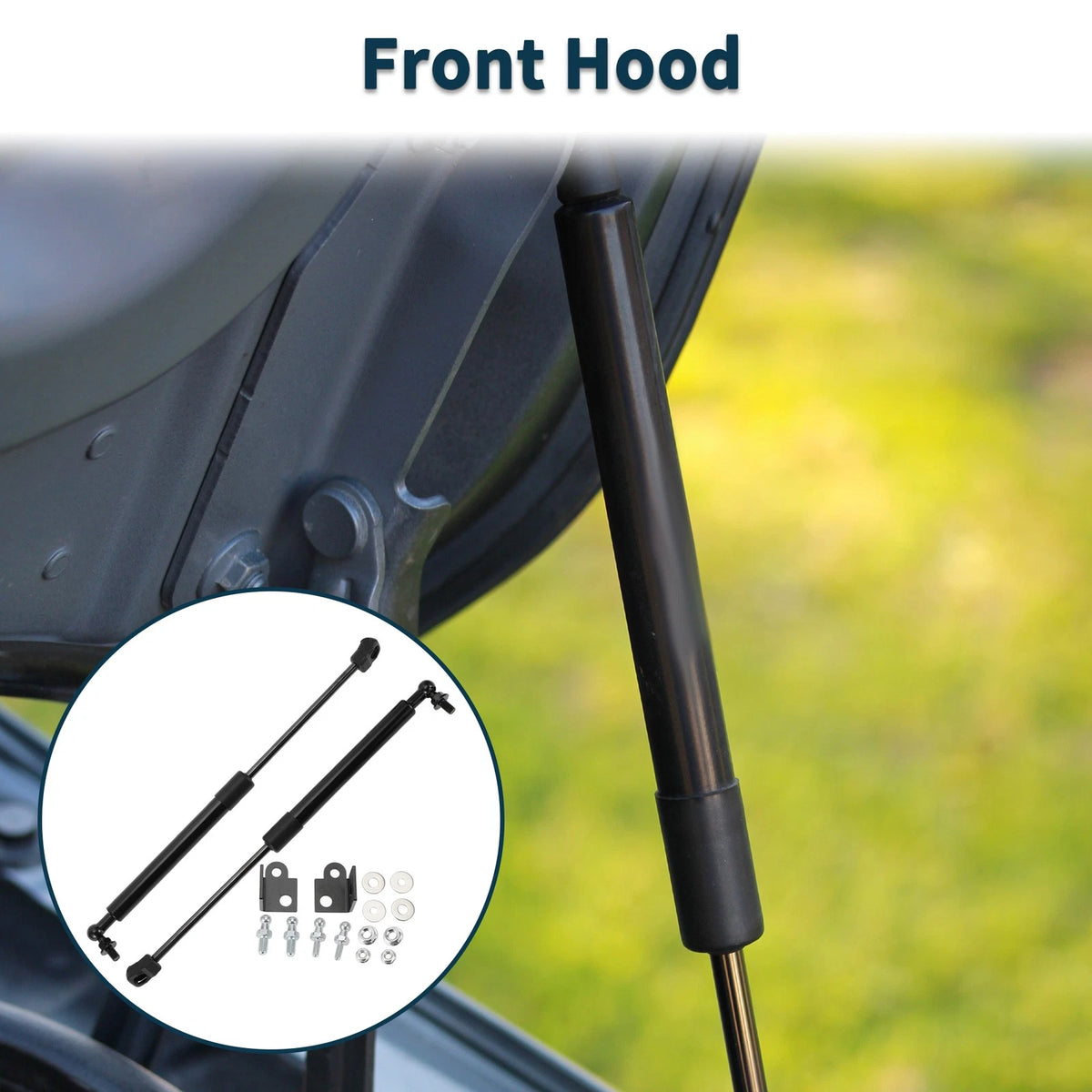 Hood Lift Supports Struts Gas Spring for Ford Mustang (2015-2022)