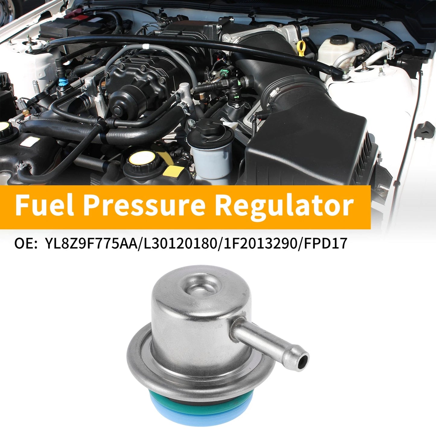 Fuel Pressure Regulator for Ford Escape (2001-2004) 1 Pc